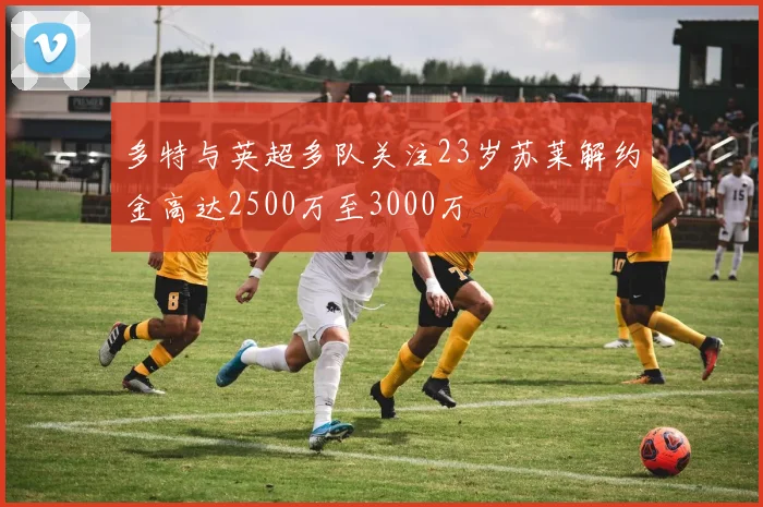 多特与英超多队关注23岁苏莱解约金高达2500万至3000万